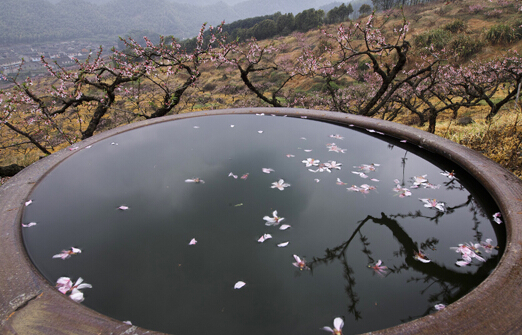 ����Ԫ�����й������Ӱ��չ��