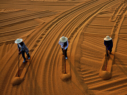 �ڶ��조ӡ��𲩰� ��������ӡ�ȫ����Ӱ��չ�������¡�