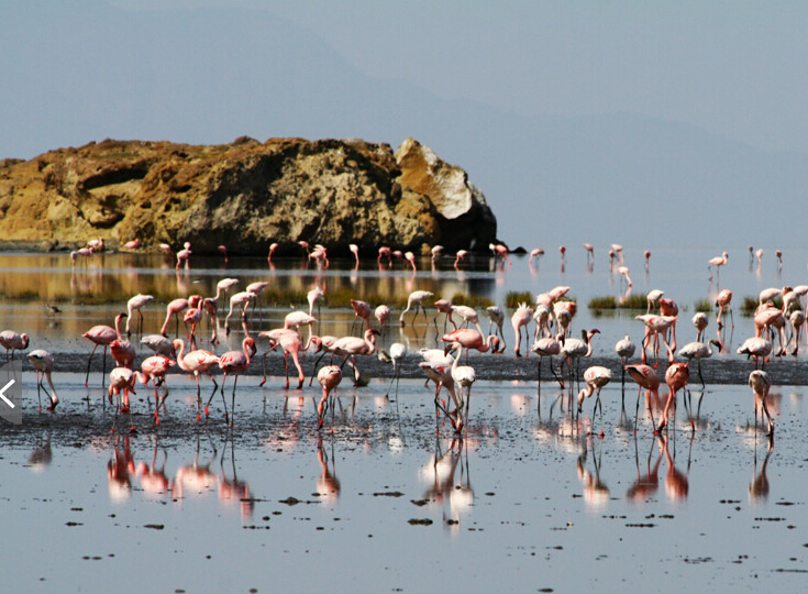 ������������������׶�԰��