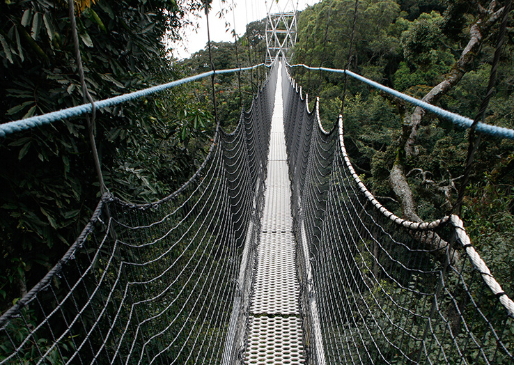 ¬����Ŧ�������ҹ�԰��̽��֮·��