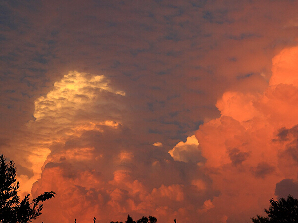 ˹�������ǵ�ʥ��С��Ƥ����