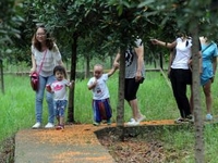 ����ͭ����ǧĶ�������ǡ�