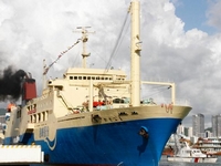 ��������ɳ�������������׺���