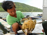 152�ﺣ���ػش󺣡�