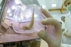 ���������Ƿ��ص��� ̫�ճ˿ͱڻ�ȫ��ѳְ��(��ͼ)��