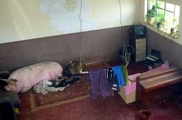 ������ɿ��� Ӣ�۷������Ƭ�����������²�(ͼ)��