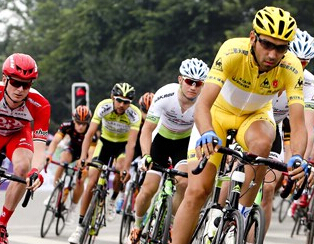 2014���й��������г����̽��� ���ӽ������¡�