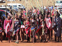 斯威士兰芦苇节开选秀女 十万“甄嬛”苦盼国王垂青”