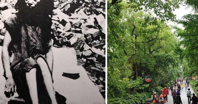 ս�����ƽ����Ѱ�ù��������ֻ��վ�ը�ٵĵط���