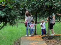 ����ͭ����ǧĶ�������ǡ�