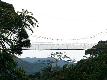 ¬����Ŧ�������ҹ�԰��̽��֮·��