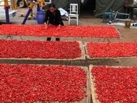 ���ֽ�ͷһ������������߸߹ҡ�