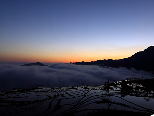 �������������Ԫ�����