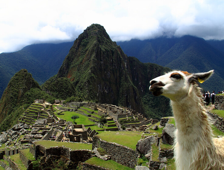 ʧ������֮�ǡ����������