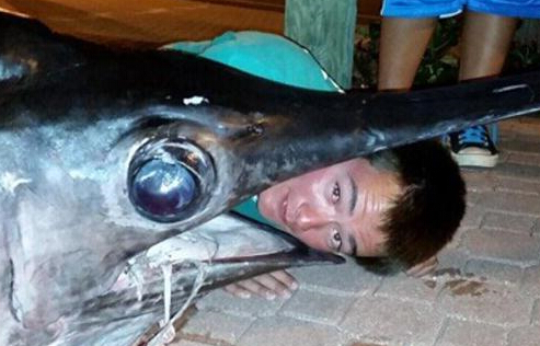 实拍美国17岁少年捕到314公斤巨型剑鱼全过程(高清)”