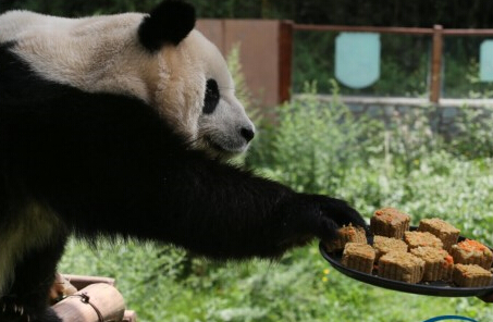 ����Ұ������԰���������[��ͼ]��