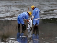 �����ʹ����Ǻ�16�����״����١�