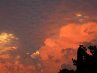 �����ˣ�˹�������ǵ�ʥ��С��Ƥ����