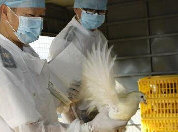 ��ۻָ������ڵػ���ݡ�