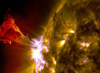 ̫��������ѳ�����ˮĸ �����̫��ҫ��Ӱ��ĸ(������ͼ)��