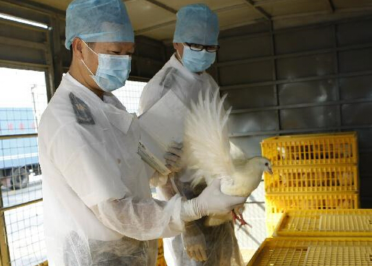 ��ۻָ������ڵػ���ݡ�