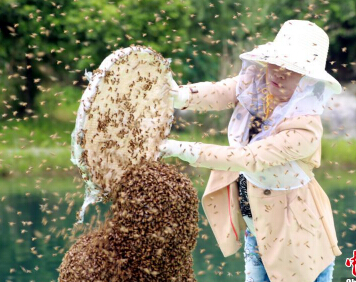 "�۷����53���� �������Ӵ������¼(������ͼ)��