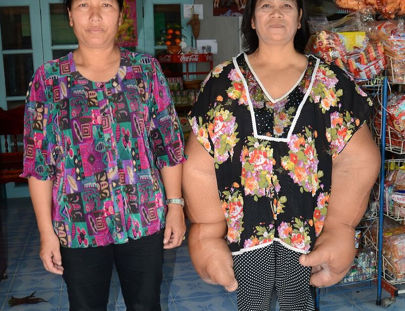 ̩�����˳���20������֡� ʹ��59��ֻ���г�(������ͼ)��