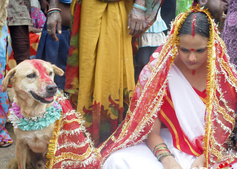 ӡ��18��Ů�ӱ��������˹���� Ϊ�������߶���(������ͼ)��