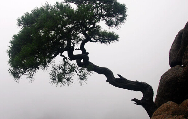 ��ɽ�����������߷ֿ����� ��������������ָ����