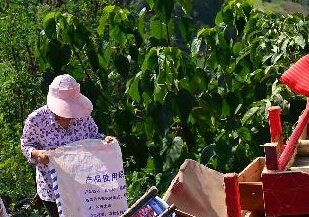 ��Ͽ��������������ֶദ���� ��ǧ�����ȫת�ơ�