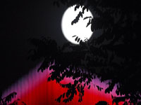 �����µ��� ����������������