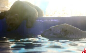 �����ܡ����ޡ�����Ҳ���±���