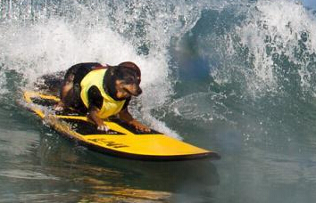 �����ٰ���˹����� �ɰ��ȳ������˾�����