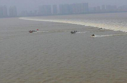 摩托艇手逐浪“天下第一潮””