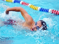 ���ϻ������žٰ�ڶ���ְ����Ӿ������