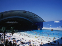 ������11�����ݻ�Ӿ�� ���������뻯��