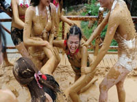 �����żҽ����ݡ��ཬ��ս�� ��Ů�űȻ����ս��