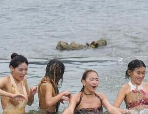 �����żҽ�����Ů���С�����ԡ�������ա�