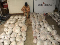 �㶫ɭ�ֹ������457ֻ��ɽ�����塱