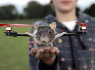 ����Ϊ�����������轫���Ƴ�����ֱ����(������ͼ)��