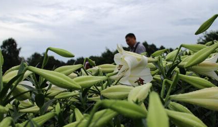 �ɶ�������ٺϻ�ʯ������ޡ�