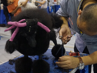 ���ݳ���ڡ��Ȼ�����Ϯ ������high��ȫ����