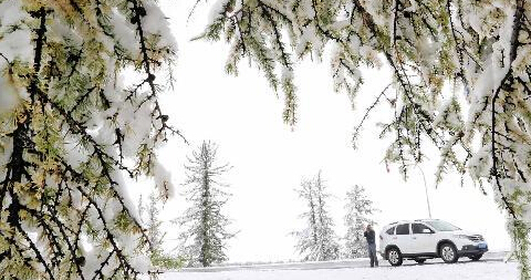 ����������װ�ع���