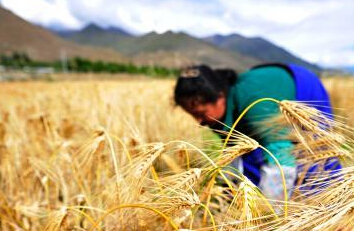 ����ӭ���������ռ���