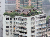 ������������¥���ӽ�˫�㻨԰������