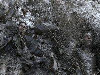 ӡ������μ�����ܲ����� ������������