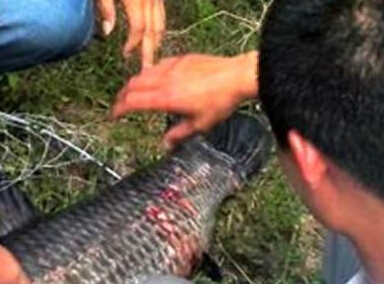 ɽ��С���40�������� �а��ϰ影ǧԪ������