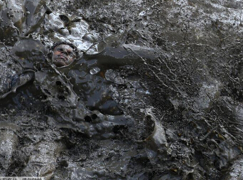 ӡ������μ�����ܲ����� �������������(������ͼ)��