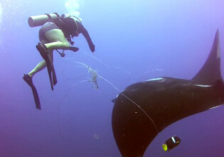 �޴�ħ���㱻�����߲�����ǱˮԱ�������(������ͼ)��