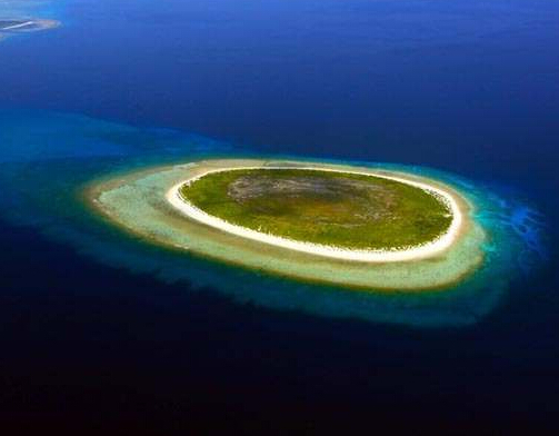 ������ɳȺ��ȫò ���޾��ˣ���